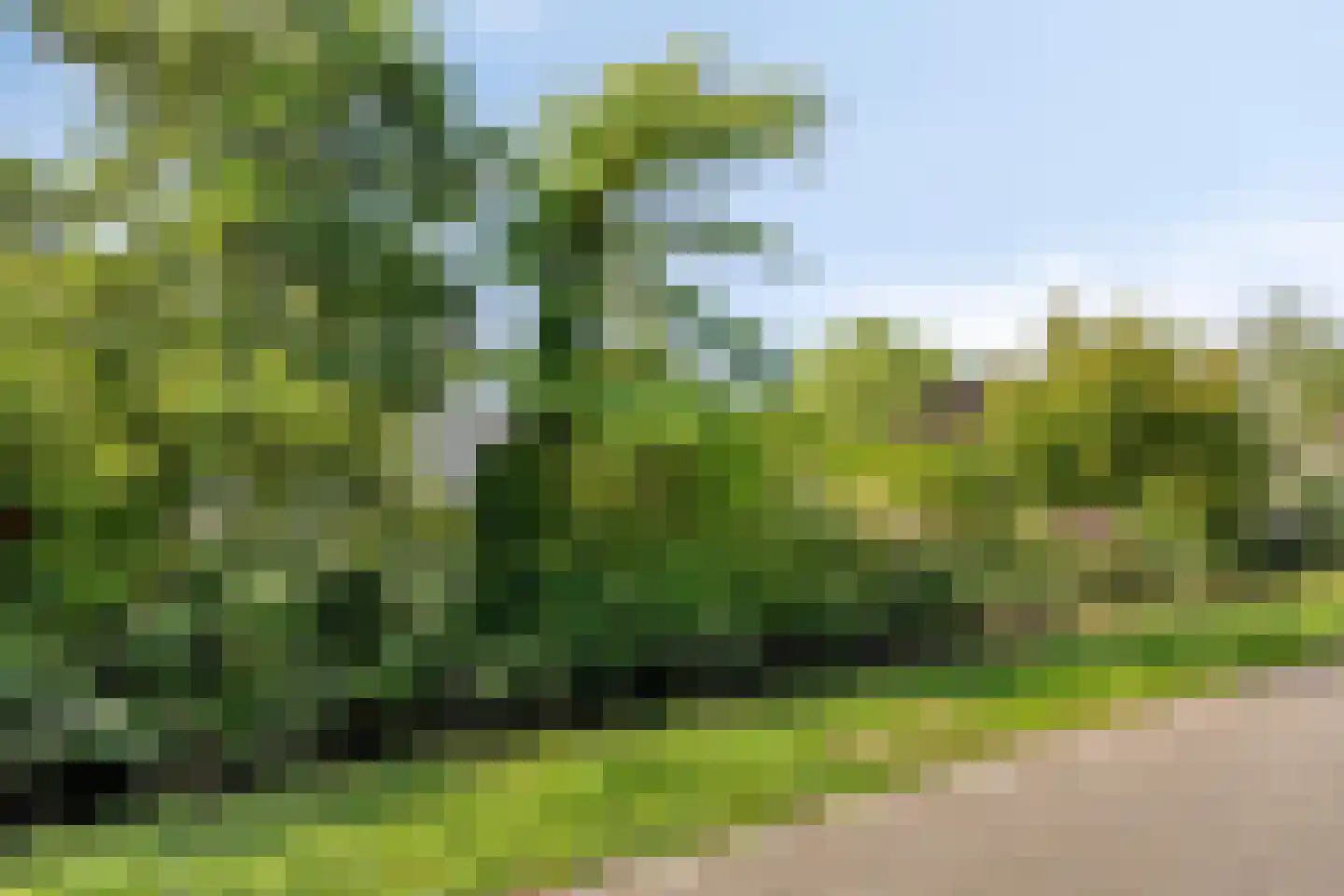 Bermweg 34 Rotterdam thumbnail 67