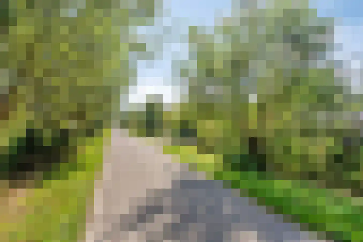 Bermweg 34 Rotterdam thumbnail 68
