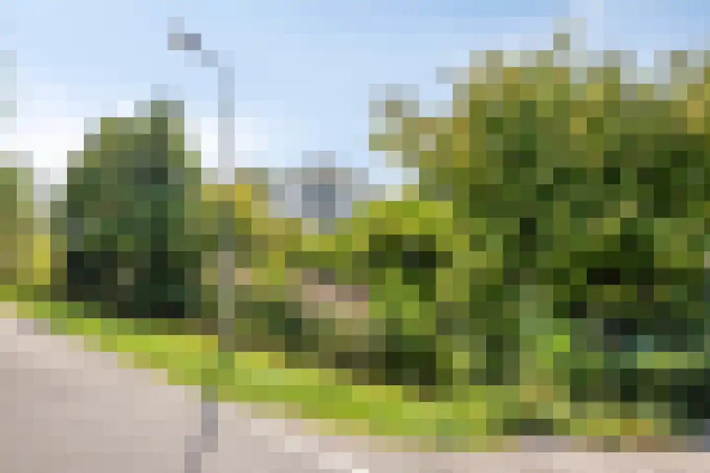 Bermweg 34 Rotterdam thumbnail 69