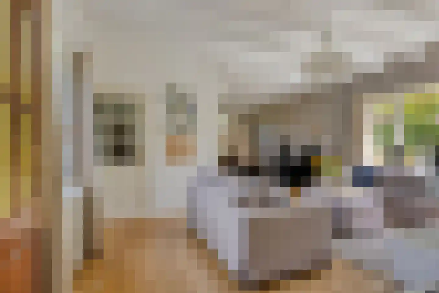 Bermweg 34 Rotterdam thumbnail 8