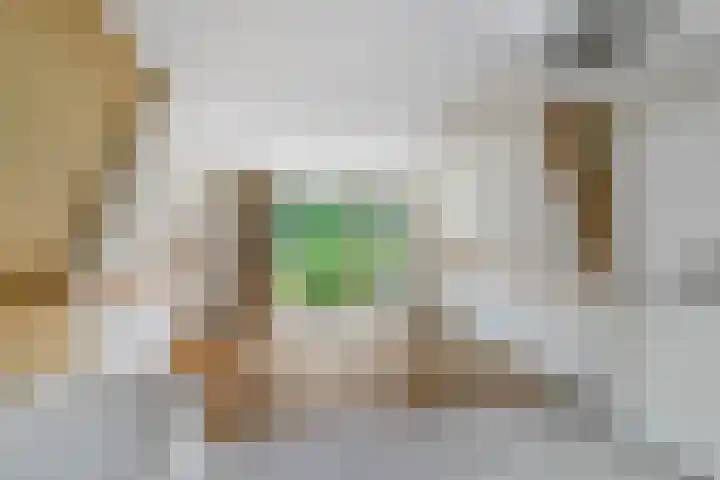 Bermweg 422 Capelle aan den IJssel thumbnail 12