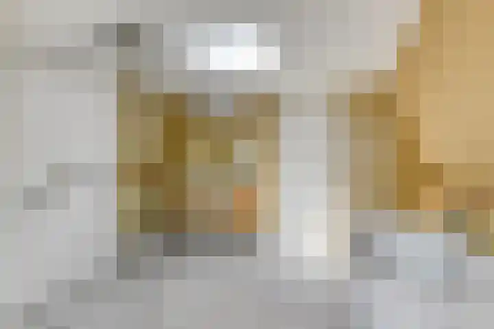 Bermweg 422 Capelle aan den IJssel thumbnail 13