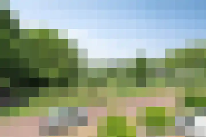Bermweg 422 Capelle aan den IJssel thumbnail 16