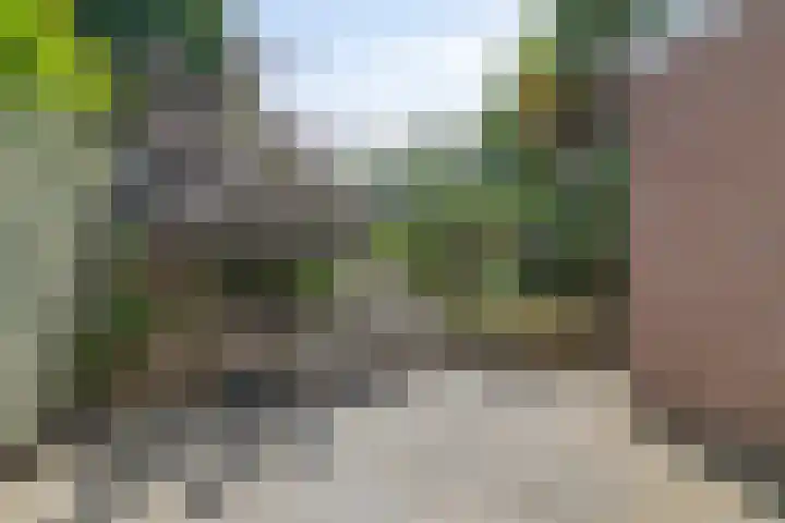 Bermweg 422 Capelle aan den IJssel thumbnail 20