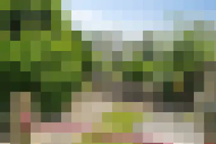 Bermweg 422 Capelle aan den IJssel thumbnail 21