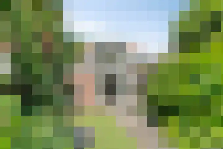 Bermweg 422 Capelle aan den IJssel thumbnail 24