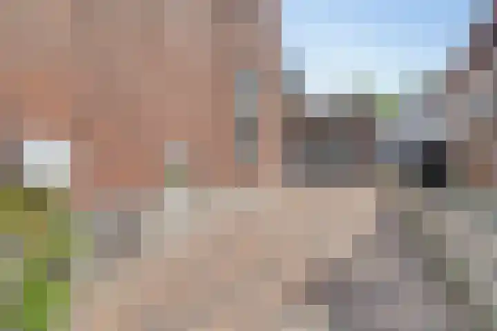 Bermweg 422 Capelle aan den IJssel thumbnail 25