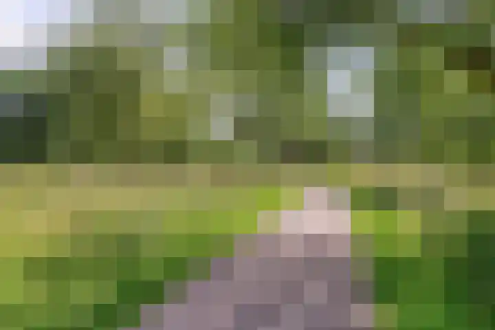 Bermweg 422 Capelle aan den IJssel thumbnail 29