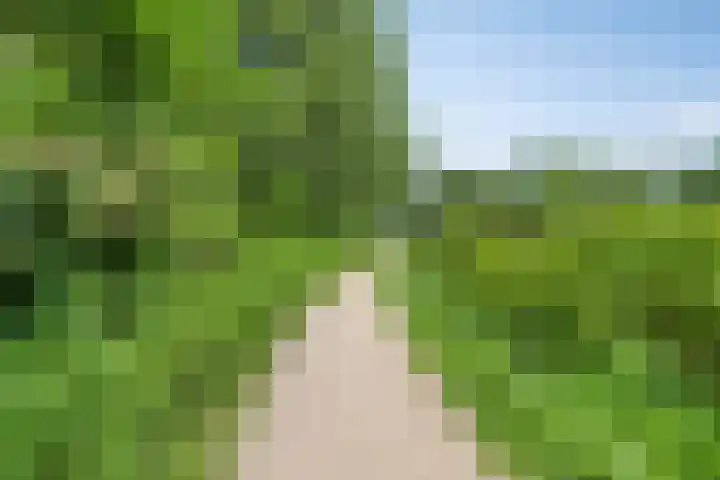 Bermweg 422 Capelle aan den IJssel thumbnail 30