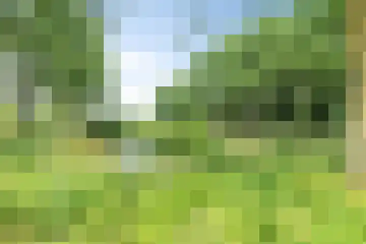 Bermweg 422 Capelle aan den IJssel thumbnail 31