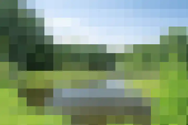 Bermweg 422 Capelle aan den IJssel thumbnail 32