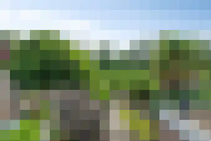 Bermweg 422 Capelle aan den IJssel thumbnail 4