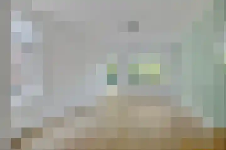 Bermweg 422 Capelle aan den IJssel thumbnail 6