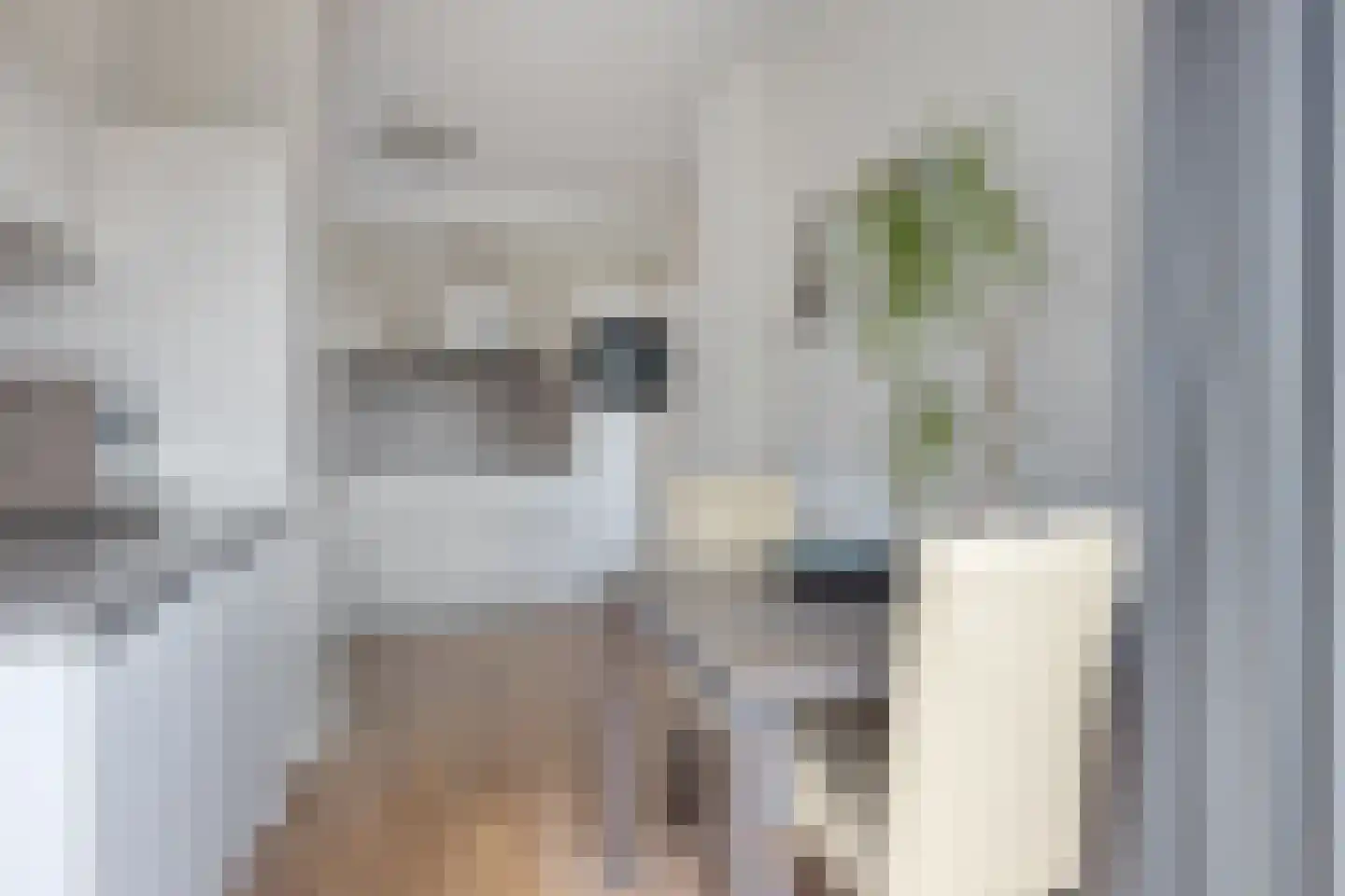 Bermweg 504 Capelle aan den IJssel thumbnail 10