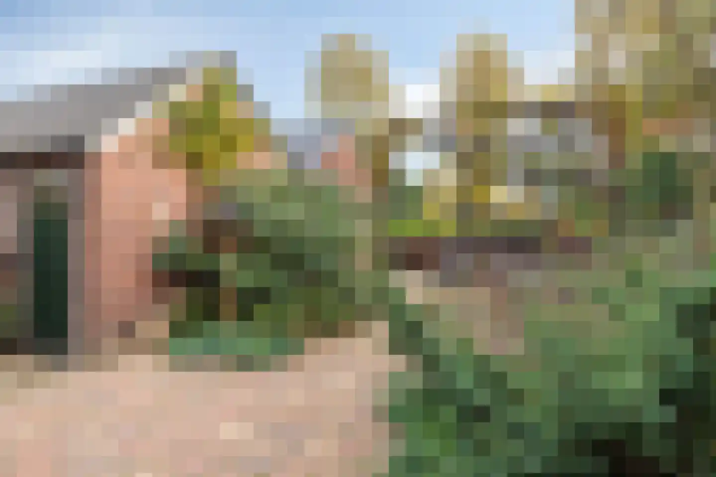 Bermweg 504 Capelle aan den IJssel thumbnail 19