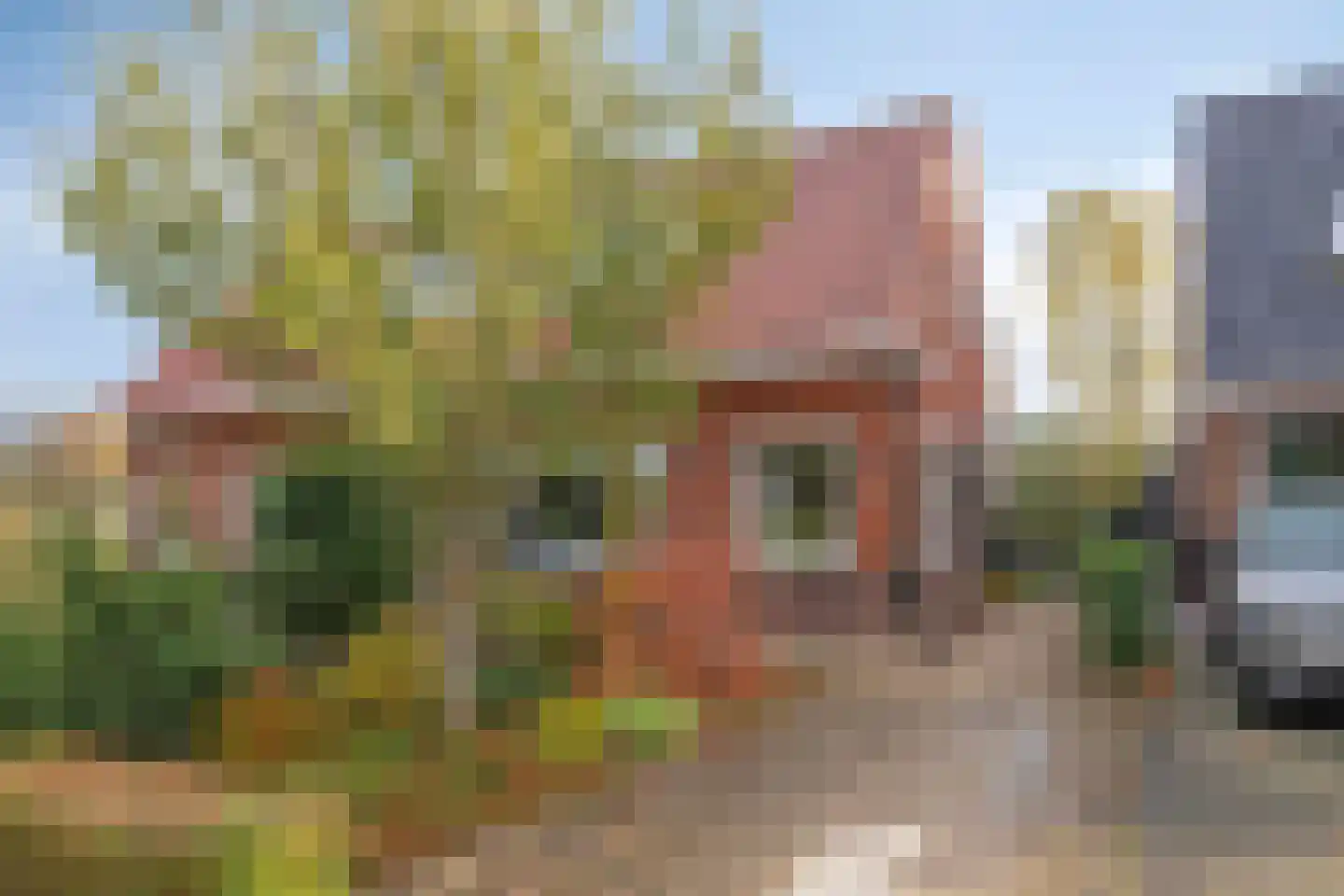 Bermweg 504 Capelle aan den IJssel thumbnail 5