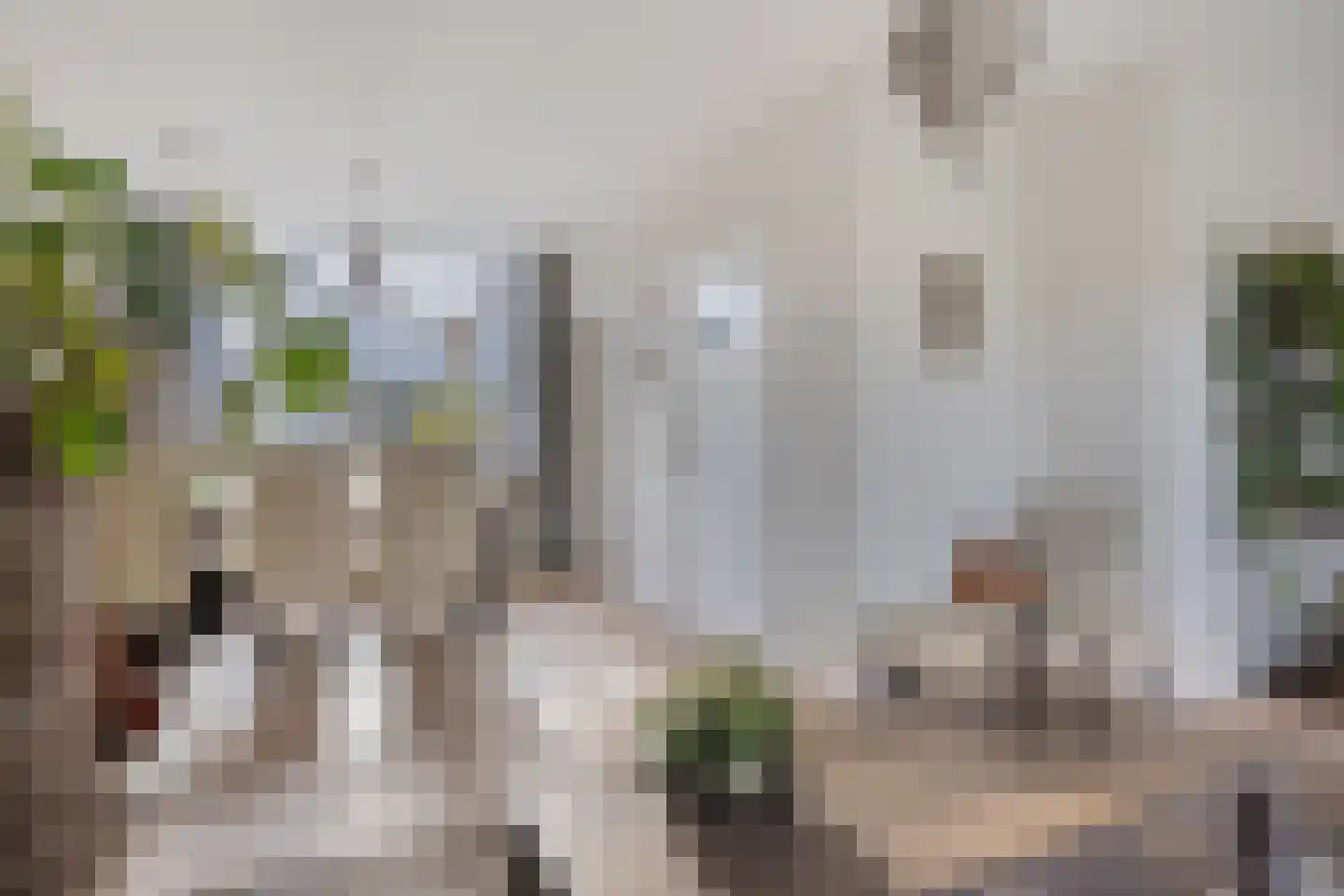 Bermweg 504 Capelle aan den IJssel thumbnail 8