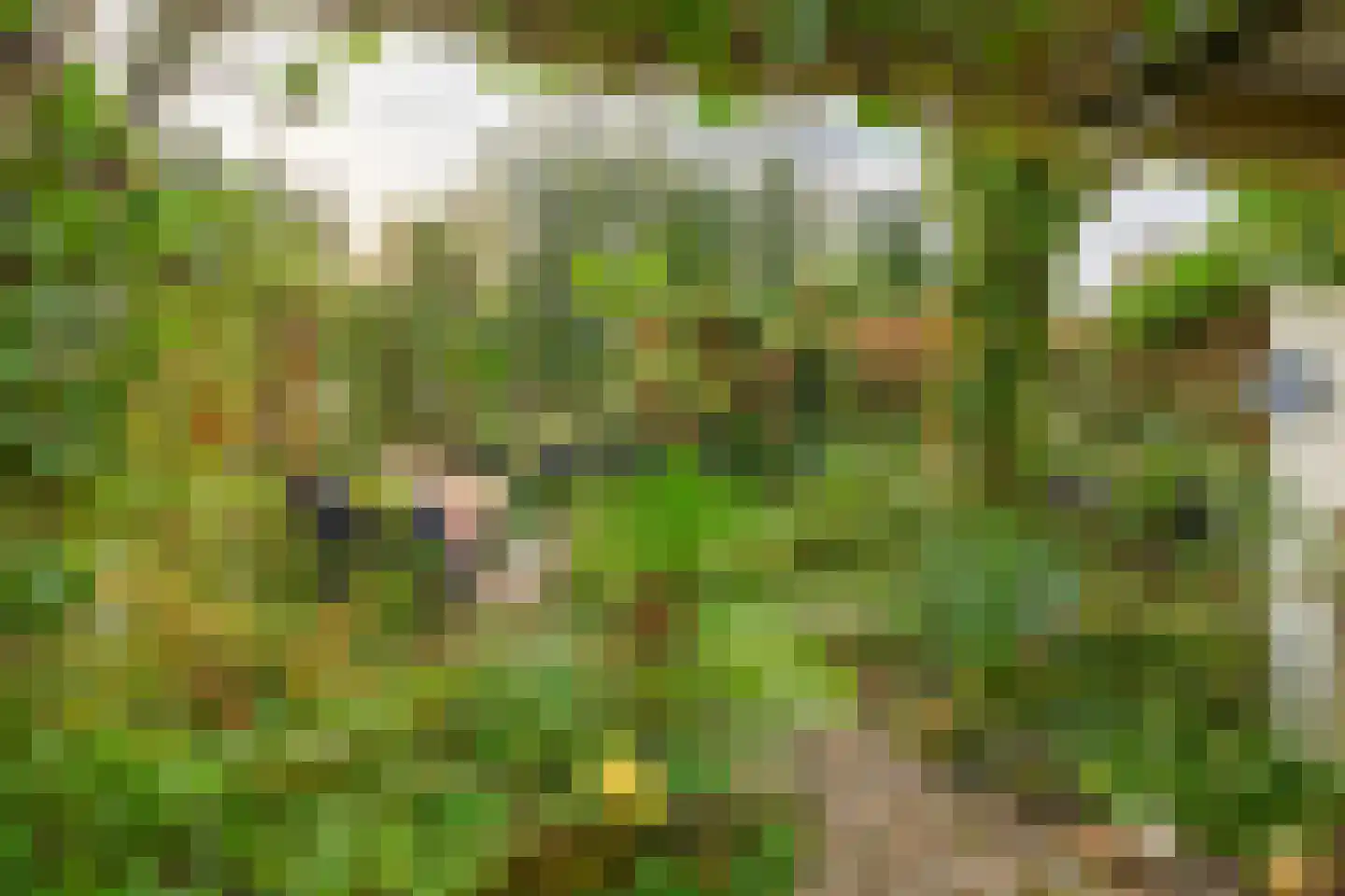 Bermweg 56 Capelle aan den IJssel thumbnail 24