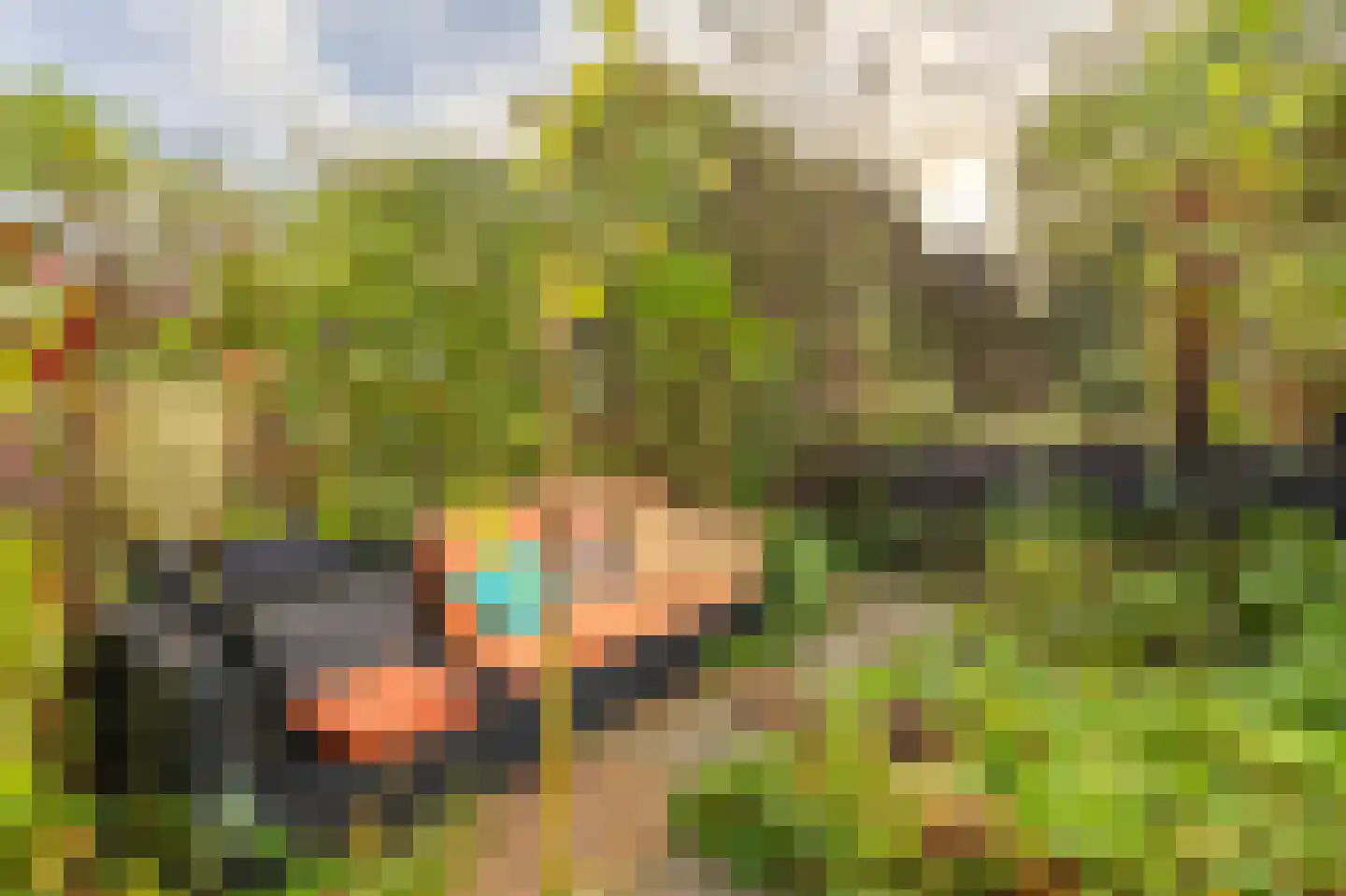 Bermweg 56 Capelle aan den IJssel thumbnail 26