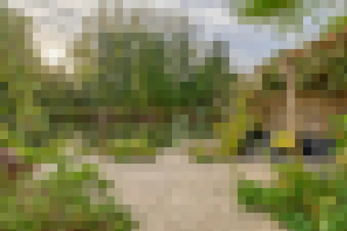 Bermweg 56 Capelle aan den IJssel thumbnail 28