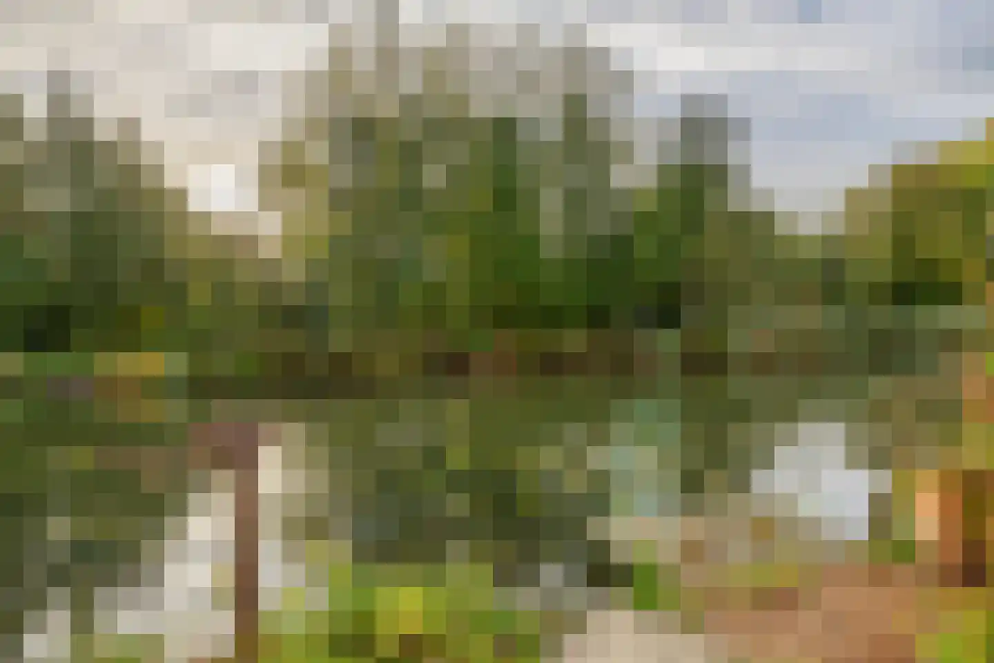 Bermweg 56 Capelle aan den IJssel thumbnail 30