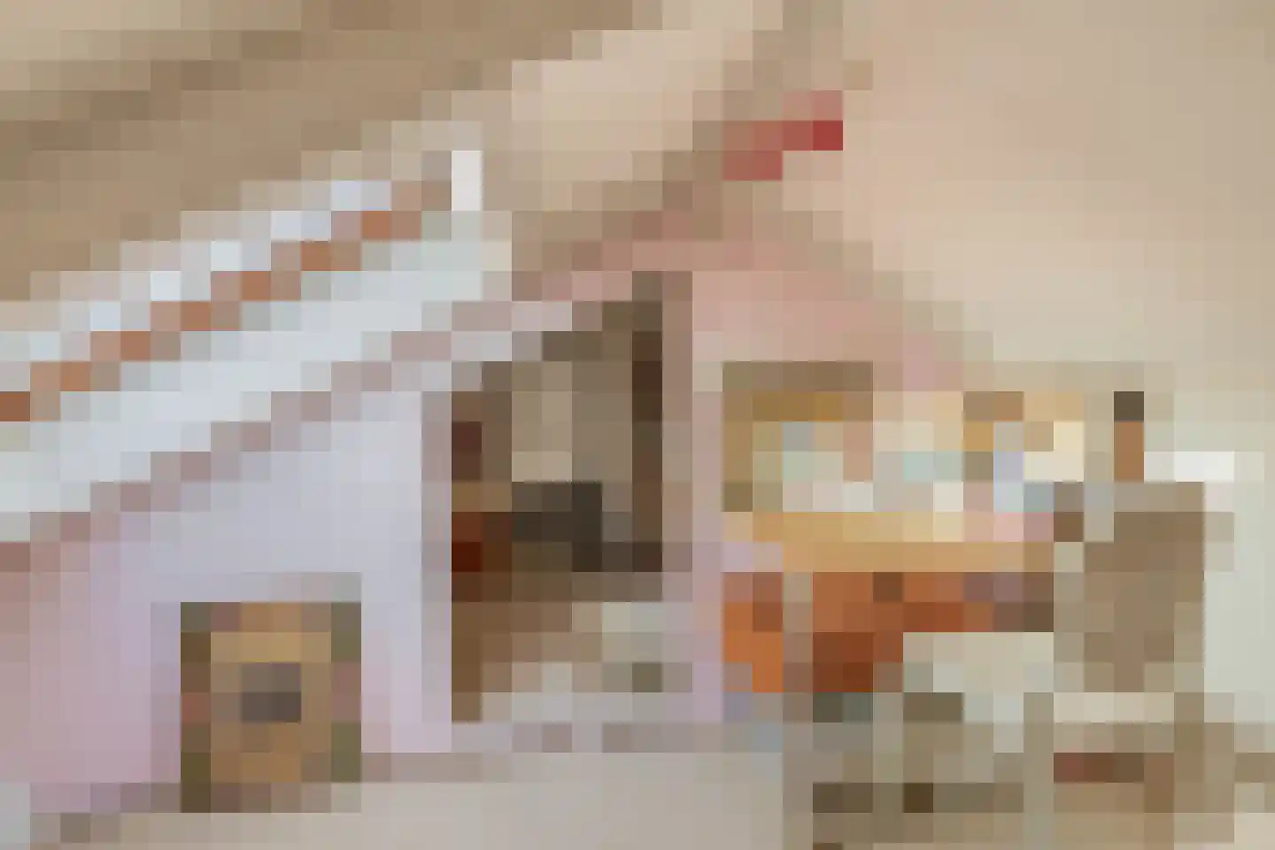 Bermweg 56 Capelle aan den IJssel thumbnail 39