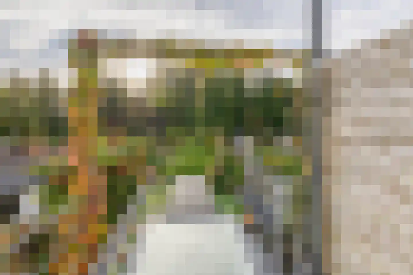 Bermweg 56 Capelle aan den IJssel thumbnail 4
