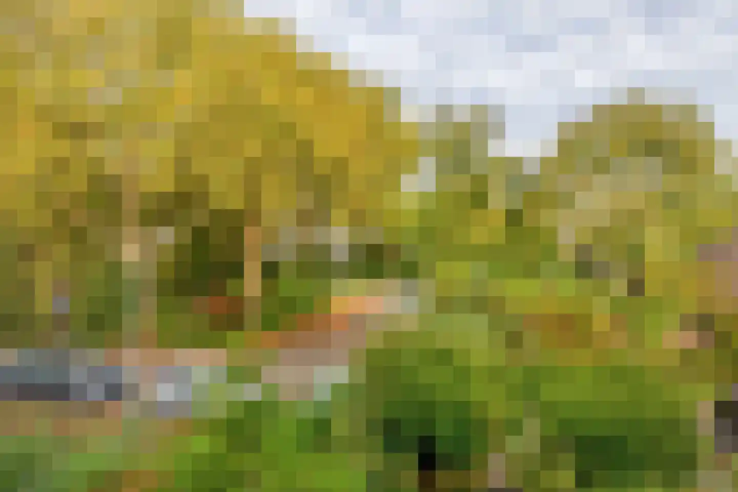Bermweg 56 Capelle aan den IJssel thumbnail 47