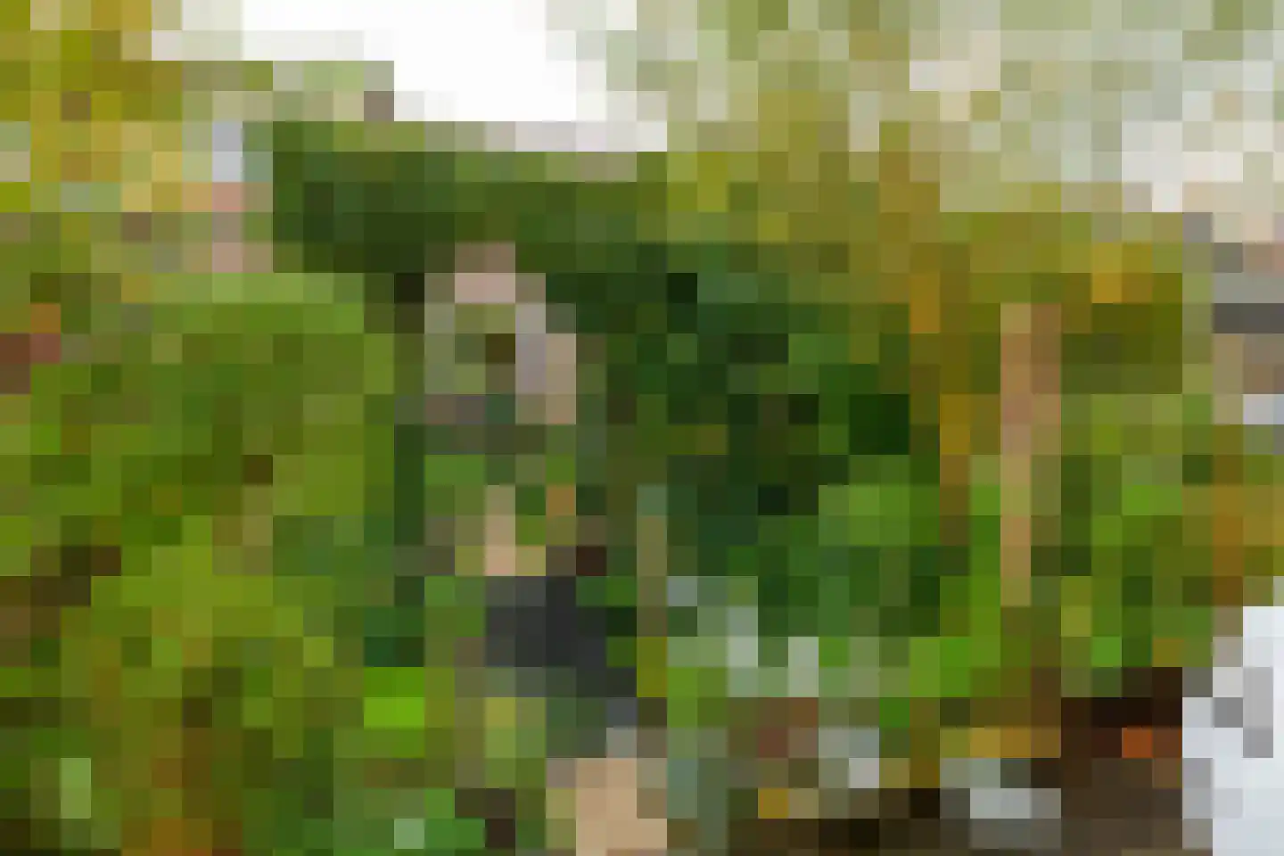 Bermweg 56 Capelle aan den IJssel thumbnail 5
