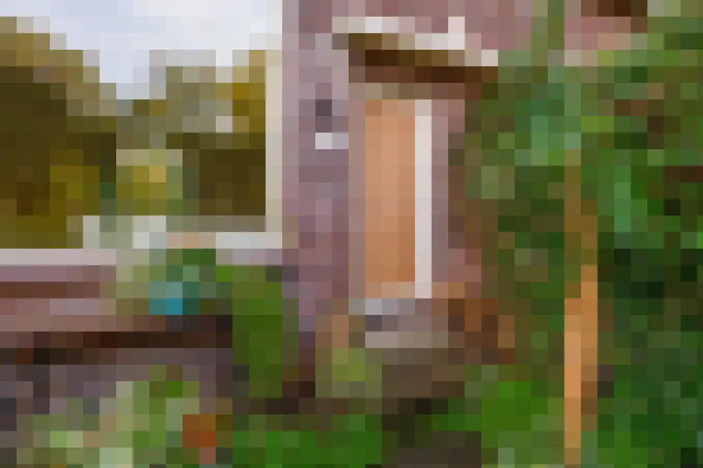 Bermweg 56 Capelle aan den IJssel thumbnail 6