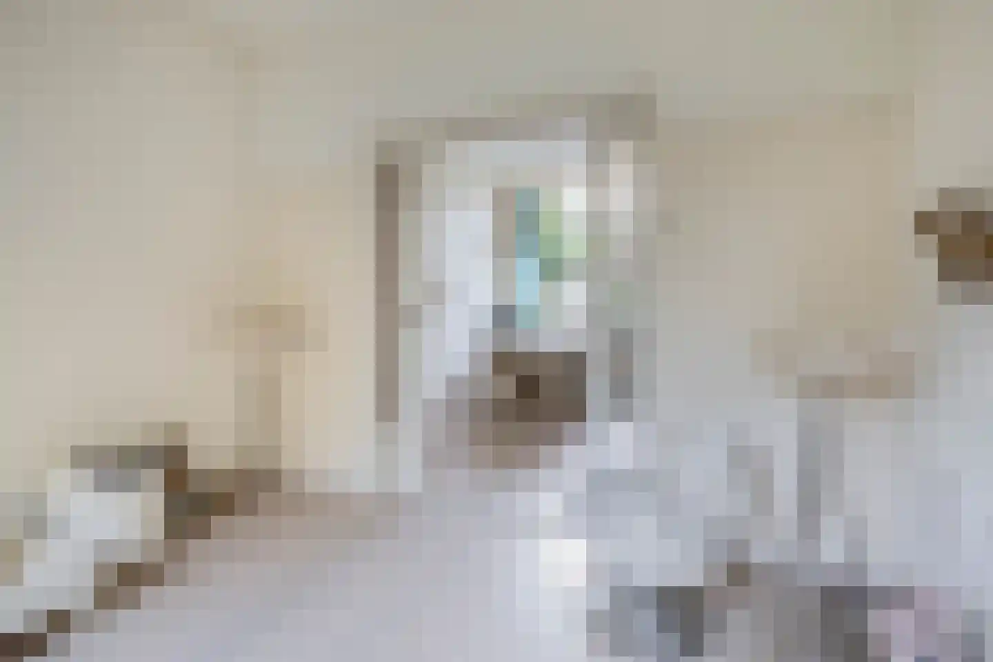 Bermweg 56 Capelle aan den IJssel thumbnail 8