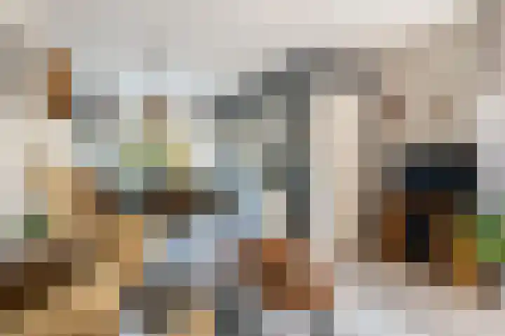 Bermweg 64 Capelle aan den IJssel thumbnail 10