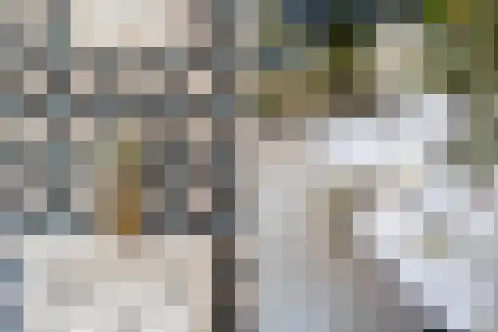 Bermweg 64 Capelle aan den IJssel thumbnail 11