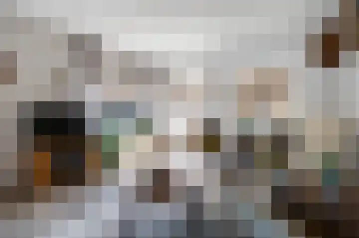 Bermweg 64 Capelle aan den IJssel thumbnail 12