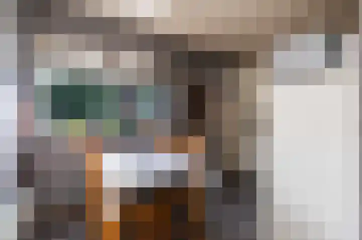 Bermweg 64 Capelle aan den IJssel thumbnail 14