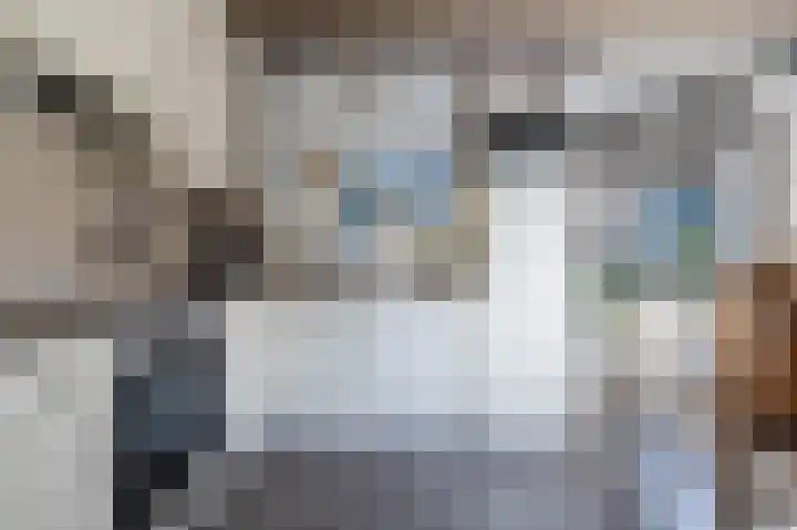Bermweg 64 Capelle aan den IJssel thumbnail 15