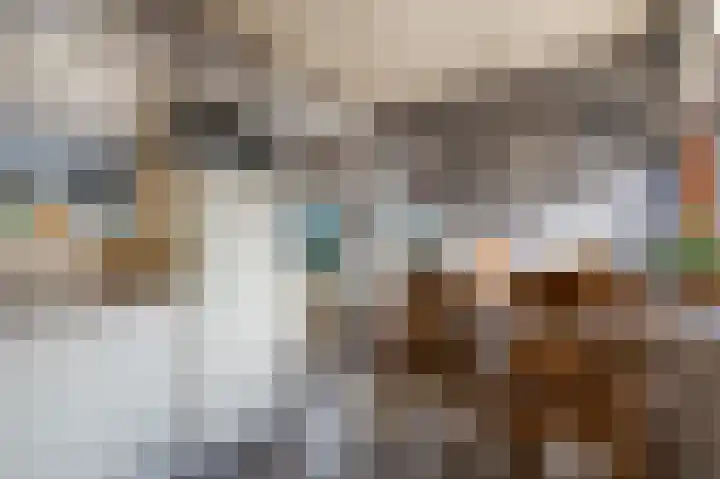 Bermweg 64 Capelle aan den IJssel thumbnail 16