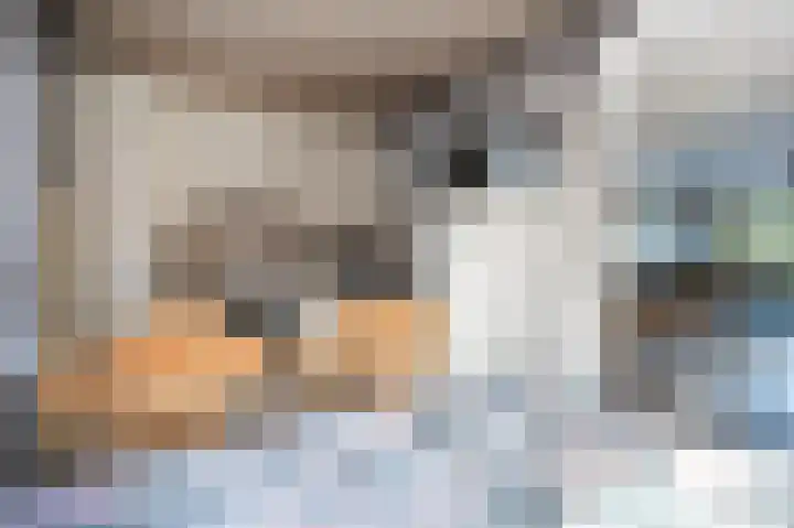 Bermweg 64 Capelle aan den IJssel thumbnail 17