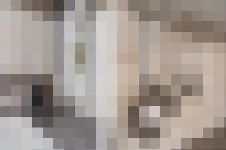 Bermweg 64 Capelle aan den IJssel thumbnail 18