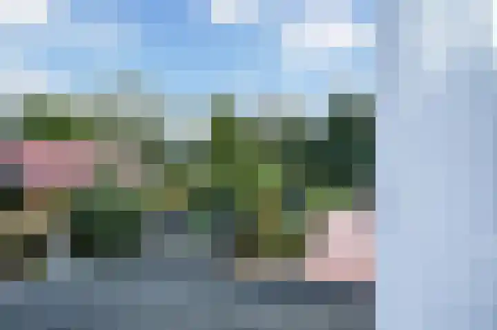 Bermweg 64 Capelle aan den IJssel thumbnail 27
