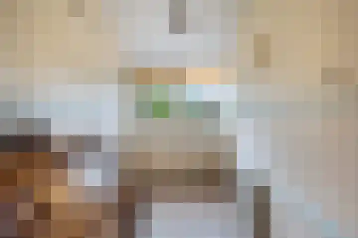 Bermweg 64 Capelle aan den IJssel thumbnail 33