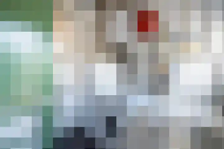 Bermweg 64 Capelle aan den IJssel thumbnail 38