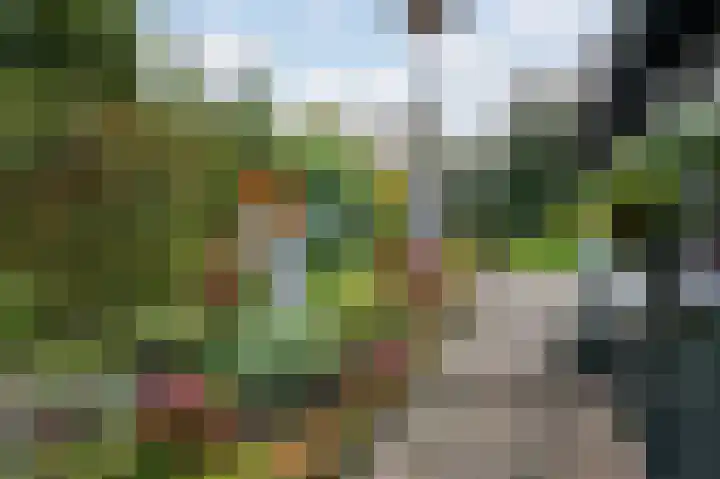 Bermweg 64 Capelle aan den IJssel thumbnail 41