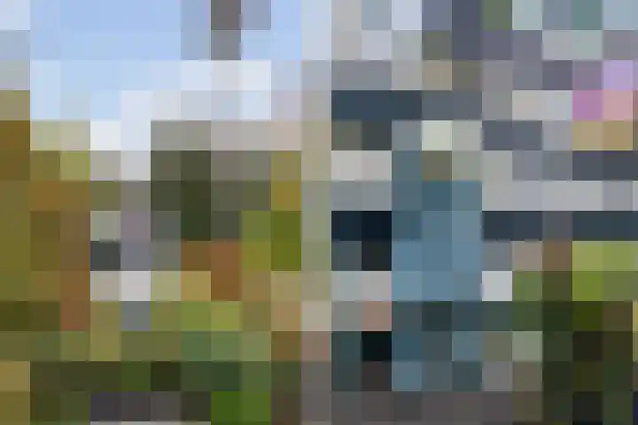 Bermweg 64 Capelle aan den IJssel thumbnail 42