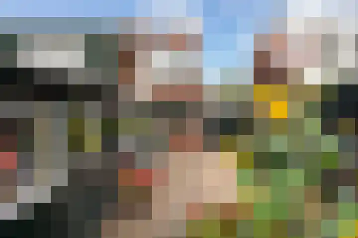Bermweg 64 Capelle aan den IJssel thumbnail 46