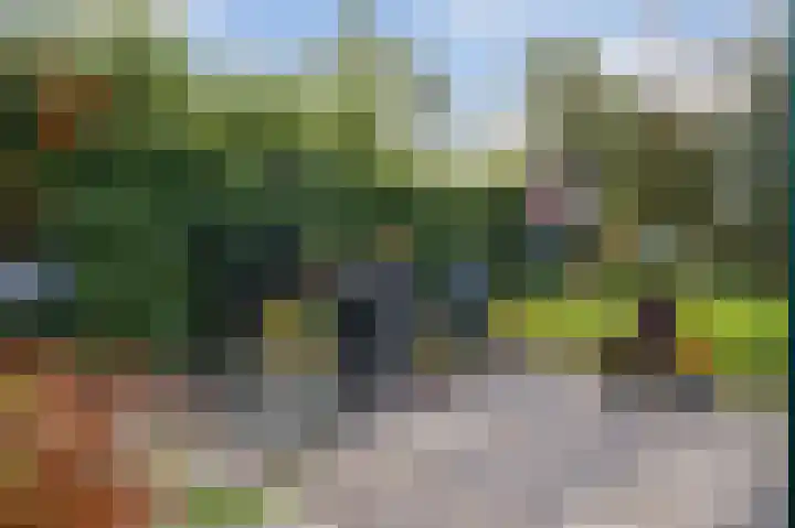 Bermweg 64 Capelle aan den IJssel thumbnail 48