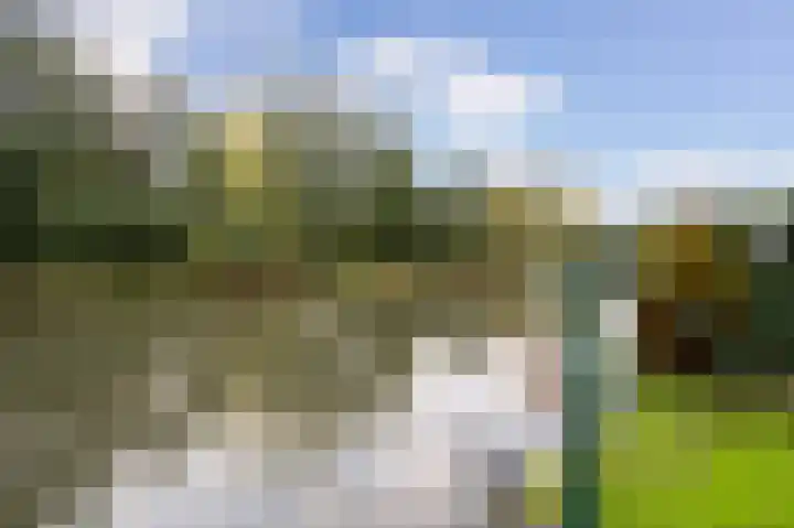 Bermweg 64 Capelle aan den IJssel thumbnail 49