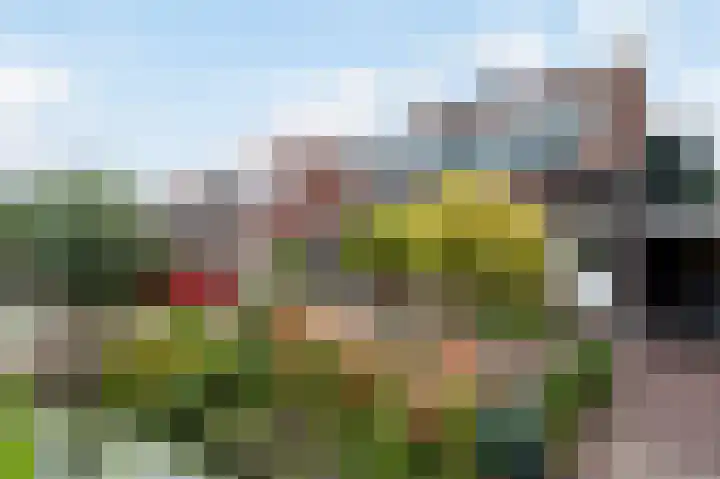 Bermweg 64 Capelle aan den IJssel thumbnail 50
