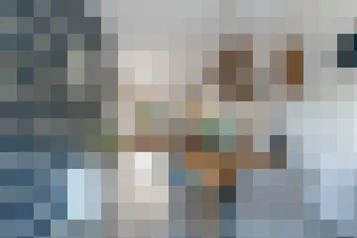 Bermweg 64 Capelle aan den IJssel thumbnail 7