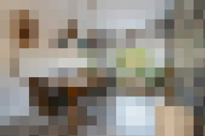 Bermweg 64 Capelle aan den IJssel thumbnail 8
